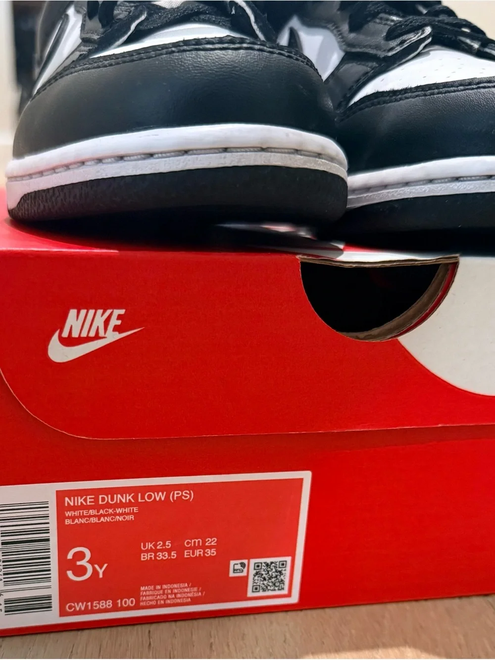 Nike Kids Dunk Low Sneakers 3Y